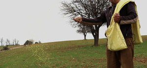 Antalya'da hibe edilen 20 ton ata tohumu toprakla buluşturuldu