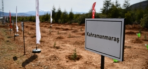 Isparta ve Muğla'da fidanlar depremde hayatını kaybedenler anısına dikildi