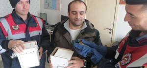 Anadolu Otoyolu'nda yolcu otobüsünde 8 sincap ele geçirildi