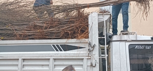 Tunceli'de atıl araziler meyve fidanlarıyla üretime kazandırılıyor