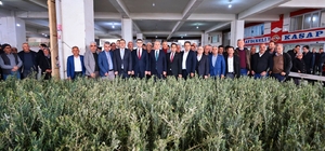 Denizli'de 40 bin zeytin fidanı toprakla buluşacak