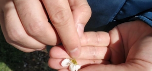 Beyşehir'den kısa kısa