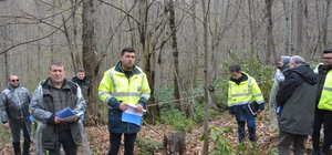 Kastamonu'da kestane ormanlarında üretimin artırılması hedefleniyor