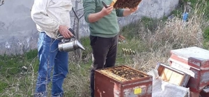 Çorum'dan kısa kısa