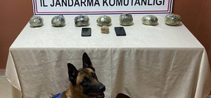 Siirt'te uyuşturucu operasyonlarında 18 kişi tutuklandı