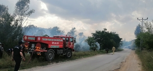 Osmaniye'de ağaçlık alanda çıkan yangın söndürüldü