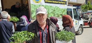 Güneysınır Belediyesi üreticilere sebze fidesi desteğinde bulundu