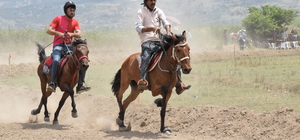 Yenipazar'da rahvan at yarışları yapıldı