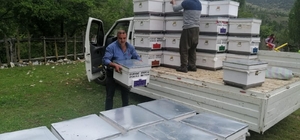 Isparta'da devlet desteğiyle arıcılık mesleği yaygınlaşıyor