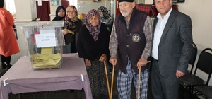 Sakarya'da asırlık çınarlar oy kullanmak için sandığa gitti