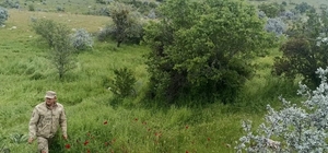 Denizli'de kaybolan yaşlı kadını arama çalışmaları devam ediyor