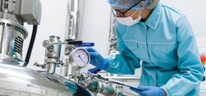 Balıkesir'de kaybolmaya yüz tutmuş peynirler butik mandıralarda üretilecek 