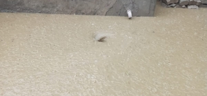 GÜNCELLEME - Afyonkarahisar'da sağanak etkili oldu