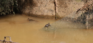 Cihanbeyli'de sağanak etkili oldu