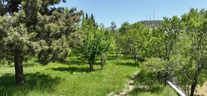 Antalya'da tarihi Ormana bölgesine kamp ve karavan alanı kuruluyor