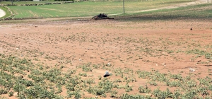 Kırıkkale'de sağanak ve dolunun hasar verdiği köyde ekipler çalışma yaptı