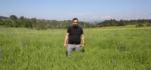 Atıl tarlalara siyez buğdayı eken genç çiftçi, ürünlerini Türkiye geneline pazarlıyor