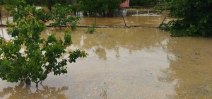 Uşak'ta sağanak etkili oldu