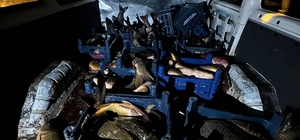 Elazığ'da kaçak avlanan 1 ton balık yakalandı