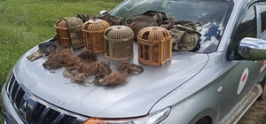 Sivas'ta tuzakla keklik avına çıkan 4 şüpheli yakalandı