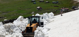 Artvin'de yüksek rakımlı yaylalarda karla mücadele devam ediyor