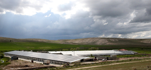 Kayseri'nin Pınarbaşı ilçesinde alabalık yavrusu üretim kapasitesi 220 milyon adede ulaştı