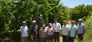 Selendi Kaymakamı Okumuş, kiraz üreticilerini ziyaret etti