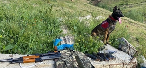 Bitlis merkezli 6 ilde organize suç örgütüne yönelik operasyonda 6 şüpheli...