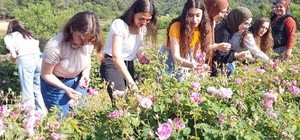 Afyonkarahisar'da gül tarlalarında foto safari