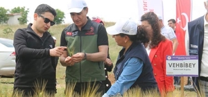 Mucur'da "Tarla Günü" etkinliği düzenlendi