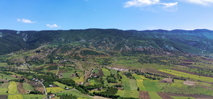 Elazığ'ın orman varlığında 20 yıldaki artış Ağın ilçesinin yüz ölçümünü aşt...