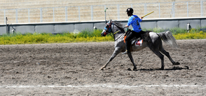 Erzurum'da cirit il eleme müsabakaları yapıldı