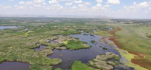 Endemik bitki ve hayvan popülasyonu zengini Eber Gölü'ne yağışlar yaradı