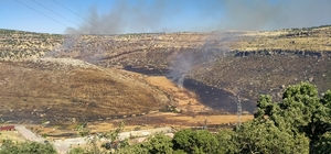 Diyarbakır'da tarlada başlayıp bir bahçeye sıçrayan yangın hasara neden old...