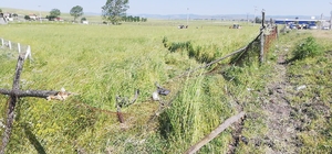 Bolu'da otomobilin çarptığı çitin parçası vücuduna saplanan sürücü ağır yaralandı