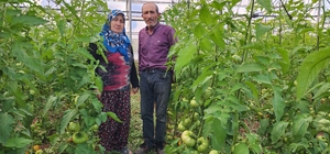 Konya'da hibe ile sera kuran çift, örnek oluyor