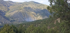 Eskişehir'de ormanlık alanlarda çıkan yangınlarda 6 dönümlük alan zarar gördü