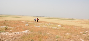 Mardin'de Pleistosen ve Erken Holosen döneme ilişkin arkeolojik yüzey araşt...