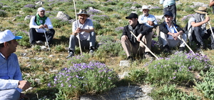 Batman Valisi Ekrem Canalp Mereto Dağı'na tırmandı