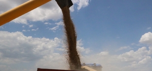 Sandıklı'dan kısa kısa