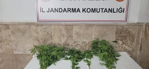 Adana'da uyuşturucu operasyonunda 21 şüpheli yakalandı