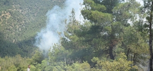 Eskişehir'de çıkan orman yangınına müdahale ediliyor