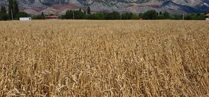 Geleceğin çiftçilerini yetiştirmek için bir ilçe adeta seferber oldu