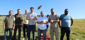Eskişehir'de 1000 kınalı keklik doğaya bırakıldı