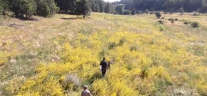 Eskişehir'de kaybolan iki kişi aranıyor