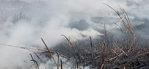 Güdül'de otluk alanda çıkan yangın söndürüldü