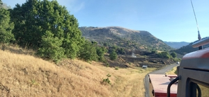 Tunceli'de ormanlık alanda çıkan örtü yangını söndürüldü