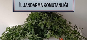 Balıkesir'de kaçakçılık operasyonlarında 10 şüpheli tutuklandı