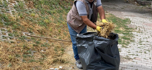 Güdül'de yabani ot temizliği yapılıyor