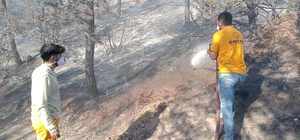 Adana'da çıkan orman yangını kontrol altına alındı